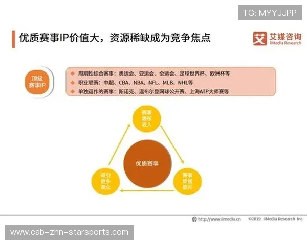 体育赛事的成本与收益分析