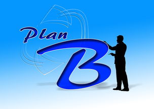 星空体育全站app-中国篮球职业俱乐部财务风险控制研究，篮球俱乐部企业组织结构图