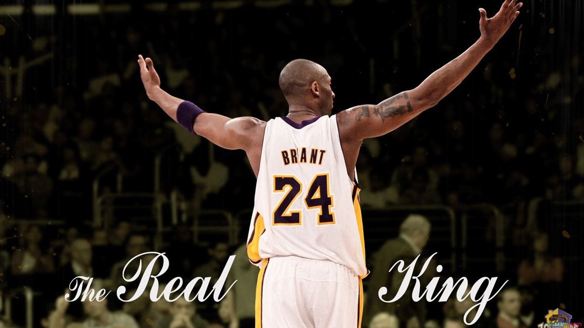 中国篮球教练员战术执行力培养与实践探讨，篮球教练员的执教理念